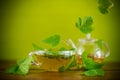 Summer refreshing organic tea from currant leaves in a glass teapot