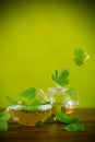 Summer refreshing organic tea from currant leaves in a glass teapot