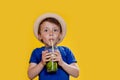 Summer refreshment. Cold beverage. Little boy with plastic cup of fresh lemonade Royalty Free Stock Photo