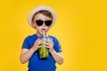 Summer refreshment. Cold beverage. Little boy with plastic cup of fresh lemonade Royalty Free Stock Photo