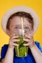 Summer refreshment. Cold beverage. Little boy with plastic cup of fresh lemonade Royalty Free Stock Photo