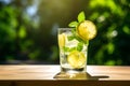 Summer Refreshment: Dewy Glass of Lemonade with Fresh Lemon Slice