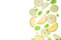 Lemon, lime and mint pattern