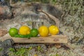 Summer refreshments. Glass of water, lemons, limes and mint on the background of scandinavian nature. Different water drops combin Royalty Free Stock Photo