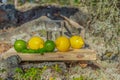 Summer refreshments. Glass of water, lemons, limes and mint on the background of scandinavian nature. Different water drops combin Royalty Free Stock Photo