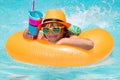 Summer relax. Child in swim pool swimming on inflatable ring. Kid swim with orange float. Water toy, healthy outdoor Royalty Free Stock Photo