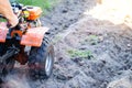 A summer resident plows a garden with potatoes with a walk-behind tractor in the fall during the harvest. Copy space for text