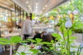 Summer restaurant terrace, blurred background with bokeh, unrecognizable people enjoying food and weather Royalty Free Stock Photo