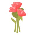 Summer rhododendron icon cartoon vector. Flower plant