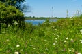 Summer in Richard Bong State Recreational Area