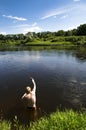 Summer River Fishing with spinning