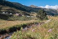 Summer in the River of Vall d Incles, Canillo, Andorra