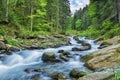 Summer riverscape in Fagaras mountains, Romania Royalty Free Stock Photo