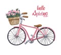 Watercolor bicycle illustration. Hand drawn pink beach cruiser with basket and flowers, isolated on white background. Summer bike Royalty Free Stock Photo