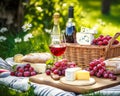 Summer romantic picnic still life with red wine on lawn on green grass in park