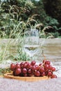 Summer romantic rustic picnic on the coast with white wine glass, grape, wooden plate. River beach