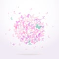 Summer round banner, card design, Colorful pink butterfly on white background. Vector Royalty Free Stock Photo