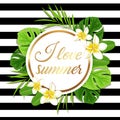 Summer round tropical background