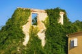 Summer of ruined building. Wall of abandoned house overgrown with green ivy on a sunny day Royalty Free Stock Photo