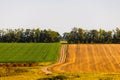 Summer rural country road landscape. Rural green and yellow field. Summer rural road horizon landscape Royalty Free Stock Photo