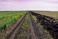 Summer rural dirt road between two fields Royalty Free Stock Photo