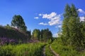 Summer rural forest road way landscape. Forest way road view Royalty Free Stock Photo