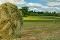 Summer rural grassland with large bales of hay for livestock