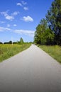 Summer rural gravel road