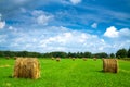 Summer rural landscape