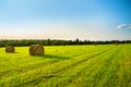 Summer rural landscape with a field and hay