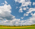 Summer, rural landscape. The field of yellow dandelions and on the back background a blue sky with white heap clouds. Panorama. Royalty Free Stock Photo