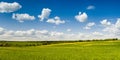 Summer, rural landscape. The field of yellow dandelions and on the back background a blue sky with white heap clouds. Panorama. Royalty Free Stock Photo