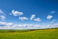 Summer, rural landscape. The field of yellow dandelions and on the back background a blue sky with white heap clouds. Royalty Free Stock Photo