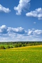 Summer, rural landscape. The field of yellow dandelions and on the back background a blue sky with white heap clouds. Royalty Free Stock Photo