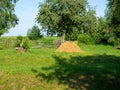 Summer rural landscape. Green glade, yellow village stack, old wooden fence