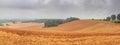 Summer rural landscape, panorama, banner - view of agricultural fields under sky with clouds