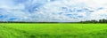 Summer rural landscape a panorama with a field and the blue sky Royalty Free Stock Photo