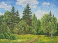 Summer rural landscape in Russia. A field and forest, a high grass. Original oil painting on canvas.