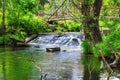 Summer rural landscape. Streams of water, taken with a long exposure, fall on a man-made dam. A stream of water in the forest, the Royalty Free Stock Photo