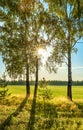 Summer rural landscape with sunrise