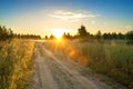 Summer rural landscape with sunrise , fog and the road Royalty Free Stock Photo