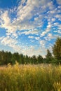 Summer rural landscape with sunrise and forest Royalty Free Stock Photo