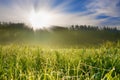 Summer rural landscape with sunrise on a meadow, forest and fog Royalty Free Stock Photo