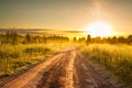 Summer rural landscape with sunrise and the road