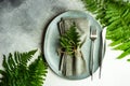 Summer rural table setting with fern