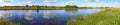 Summer rushy lake panorama