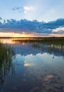 Summer rushy lake sunset view