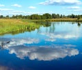 Summer rushy lake view