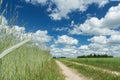 Summer rye farm field under white cirrus clouds and blue bright sky Royalty Free Stock Photo