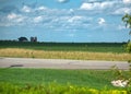 Summer`s magnificent crop on a sunny day